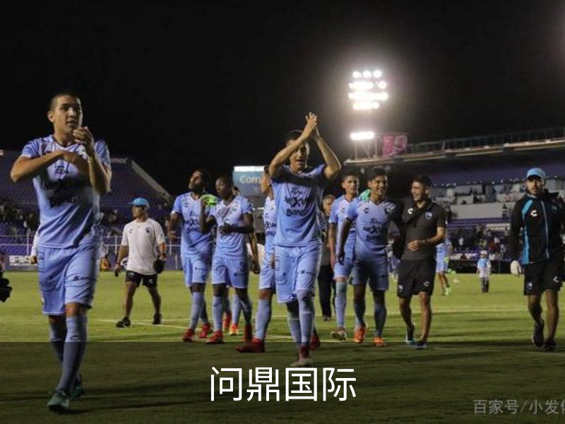 问鼎国际简介